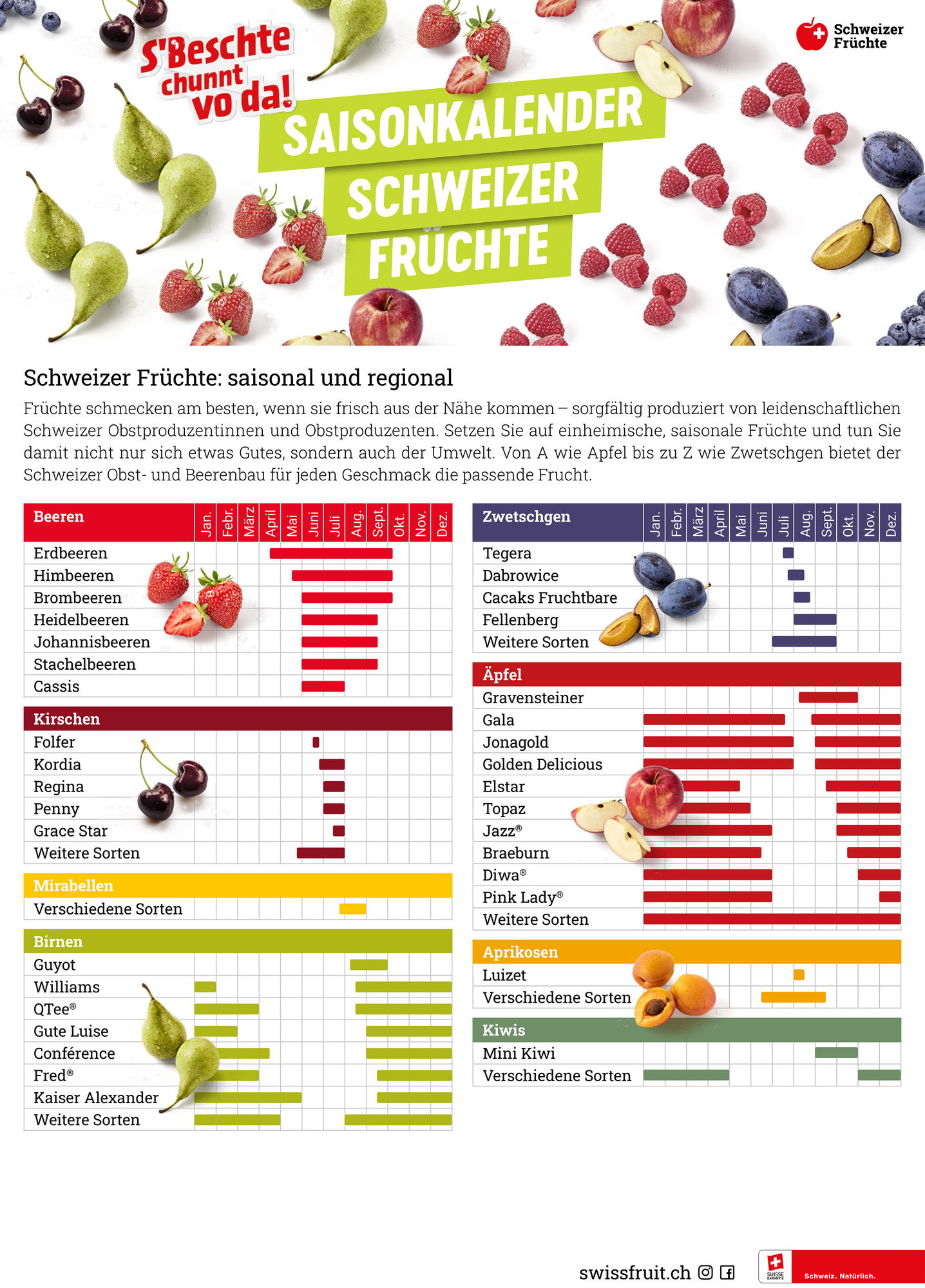 Saisonkalender Früchte 1