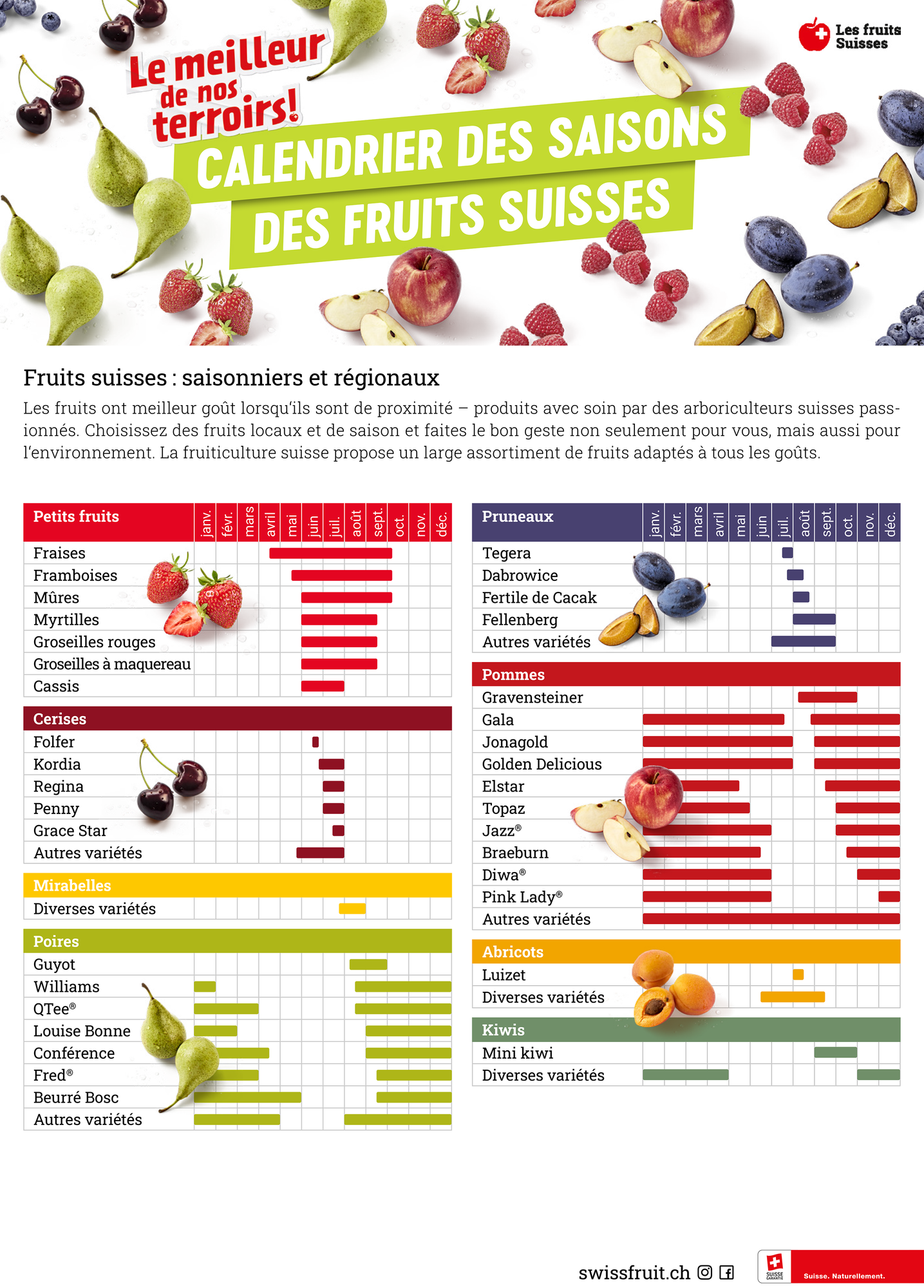 Tableau de saison fruits 1