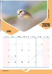 A3 Wall Calender _ 2026 editable