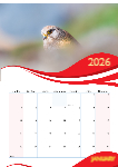 A3 Wall Calender ___ 2026 editable