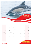 A3 Wall Calender ___ 2026 editable