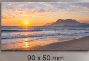 90 x 50mm Rectangle